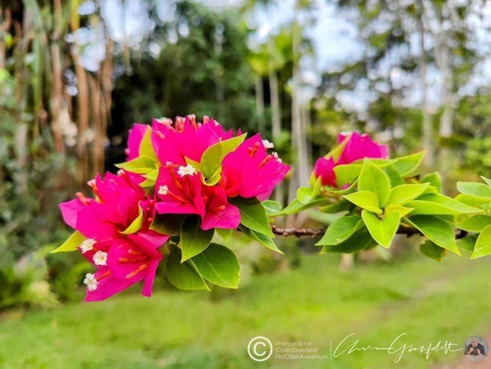 Phurin Thara Resort Ko Lanta Extérieur photo